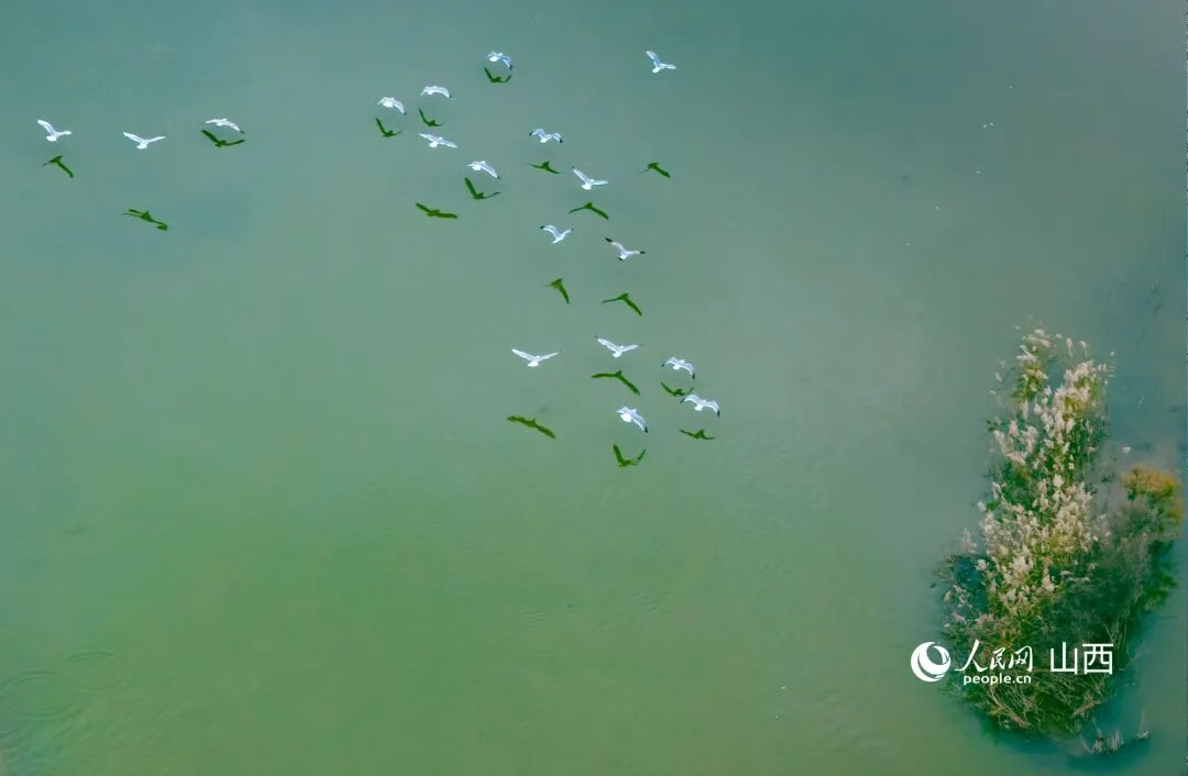 /website-webapp/ewebeditor/uploadfile/20251110103802920001