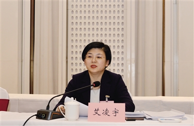 图为艾凌宇参加平城区代表团审议。戎禹仁摄