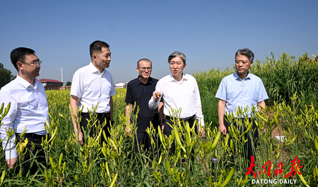 朱晓东在云州区调研时强调：牢记领袖嘱托 笃定实干奋进 始终沿着习近平总书记指引方向推动高质量发展深化全方位转型