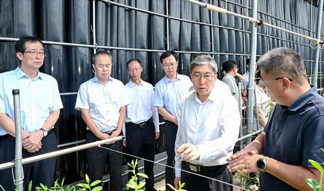 朱晓东在阳高县调研时强调：因地制宜强产业 厚植优势促发展 奋力推动兴业强县富民迈出更大步伐