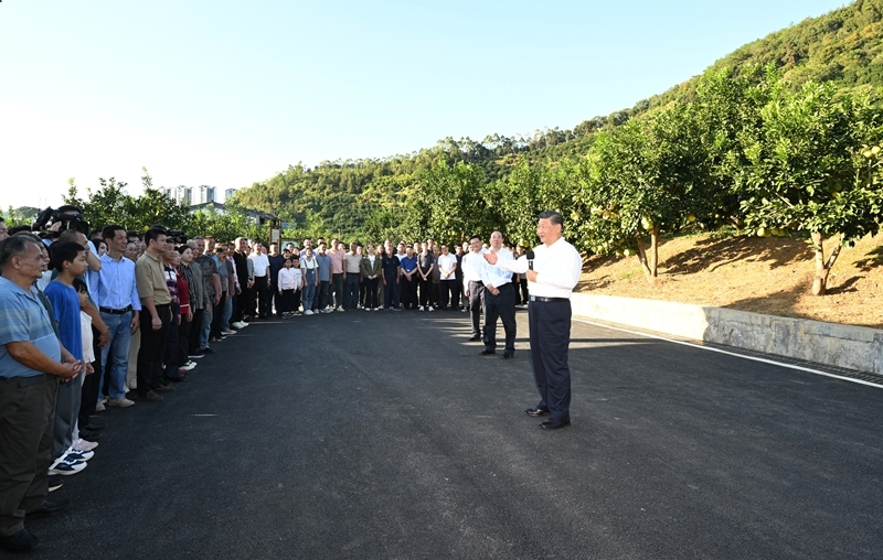 11月7日至8日,中共中央总书记、国家主席、中央军委主席习近平在广东考察。这是7日下午,习近平在梅州市梅县区雁洋镇南福金柚种植基地考察时,同村民们亲切交流。新华社记者 谢环驰 摄