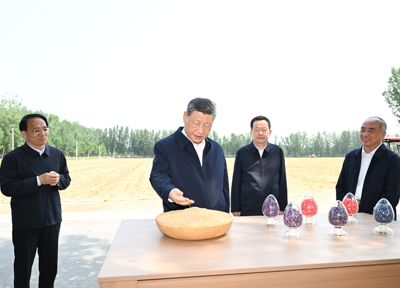 6月24日，中共中央总书记、国家主席、中央军委主席习近平在山东省德州市考察。这是习近平在陵城区边临镇东于架村了解当地“三夏”生产情况。新华社记者 燕雁 摄