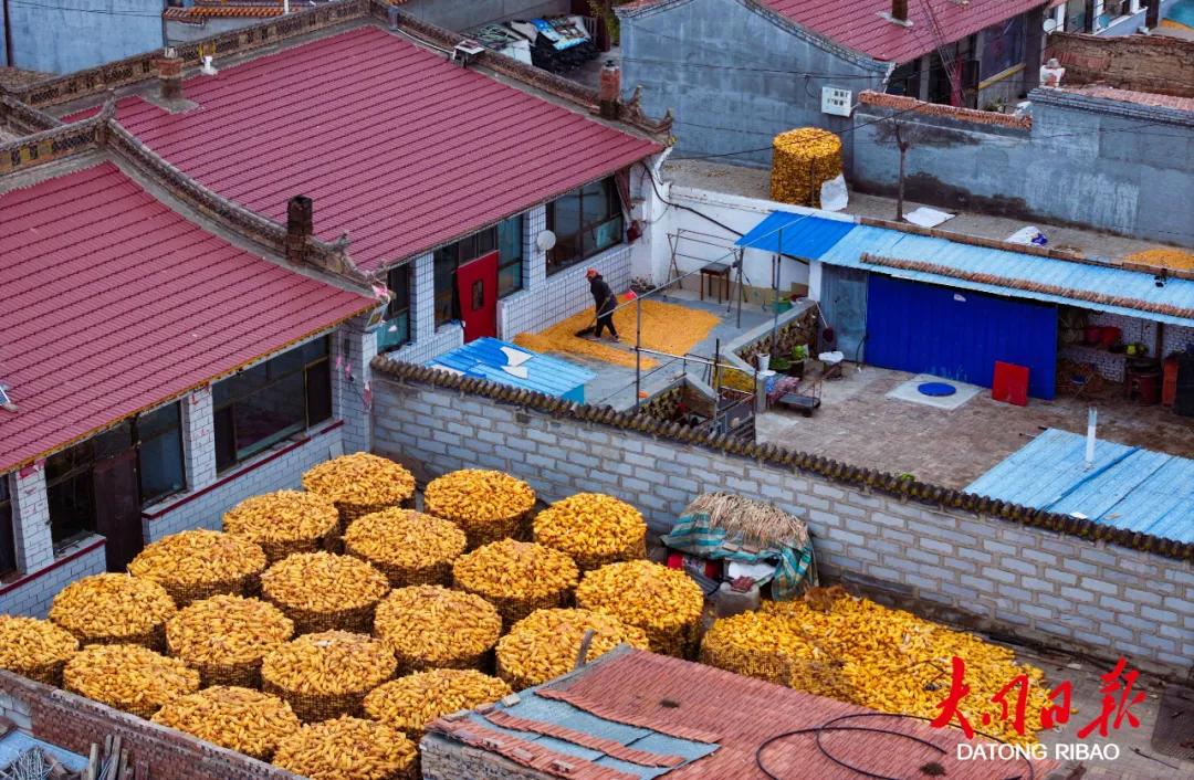 我市2025年粮食产量再创新高