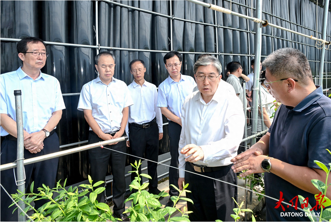 8月20日，副省长、市委书记朱晓东在阳高县沃林蓝莓种植基地调研蓝莓种植销售情况。张燕伟摄