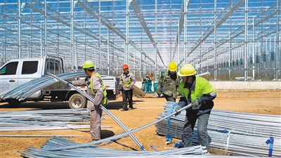 一座座现代化大棚在灵丘县落水河乡大涧村的智耕兴农示范园区拔地而起。苑捷摄